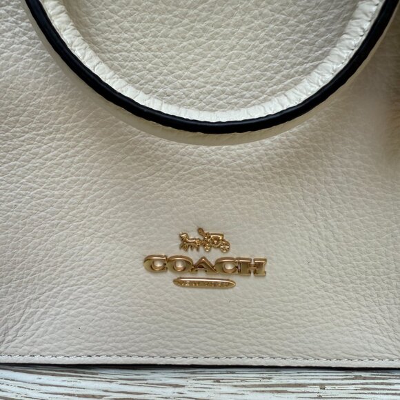 COACH NORTH SOUTH MINI TOTE CROSSBODY BAG Pebbled Leather Chalk White CJ500 New - Picture 8 of 15